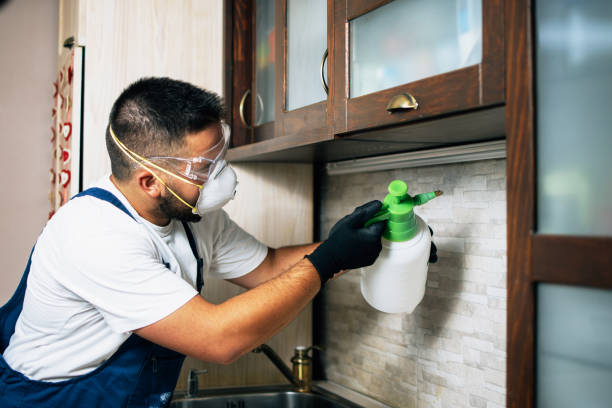 Best Commercial Pest Control Services  in Redwood, TX