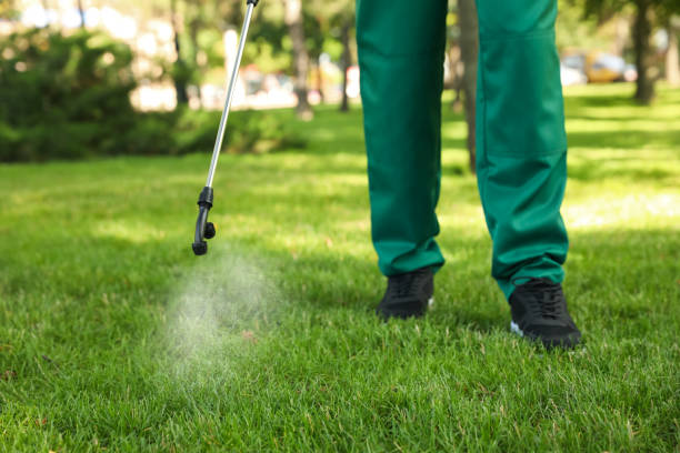 Pest Prevention Services in Redwood, TX