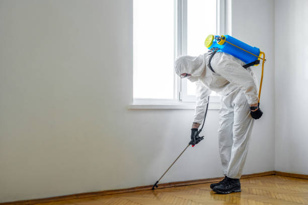 Best Mosquito Control Services  in Redwood, TX