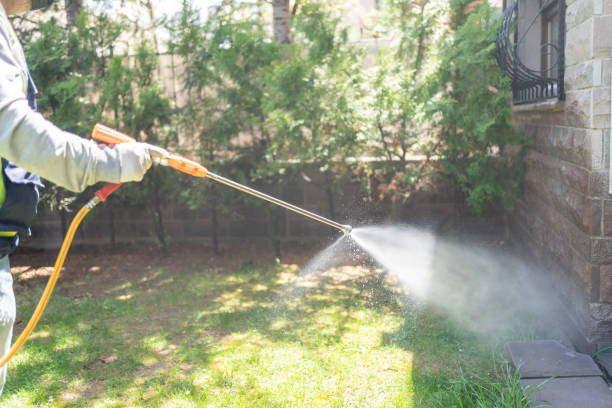 Reliable Redwood, TX Pest Control Solutions